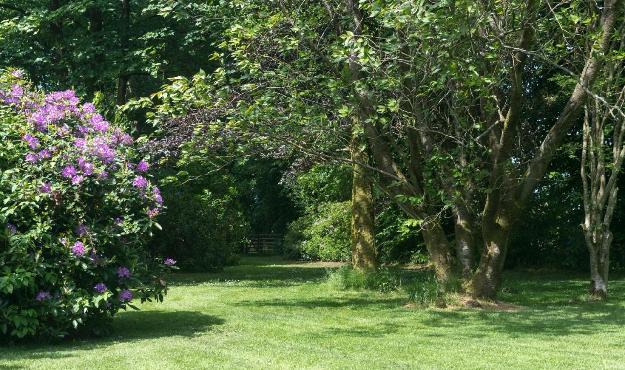 Blacket House Guest House Eaglesfield Екстериор снимка